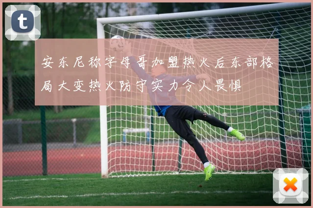 安东尼称字母哥加盟热火后东部格局大变热火防守实力令人畏惧