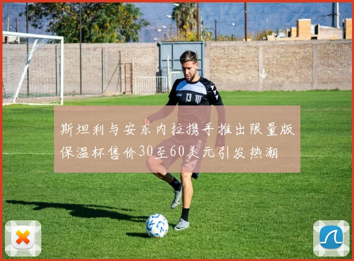 斯坦利与安东内拉携手推出限量版保温杯售价30至60美元引发热潮