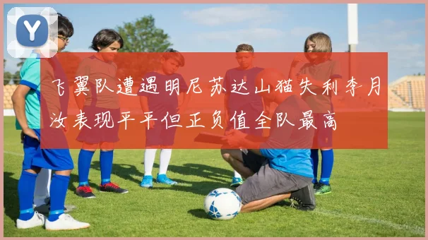 飞翼队遭遇明尼苏达山猫失利李月汝表现平平但正负值全队最高