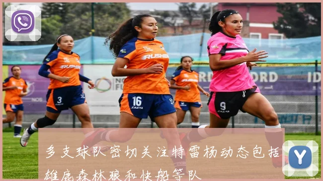 多支球队密切关注特雷杨动态包括雄鹿森林狼和快船等队
